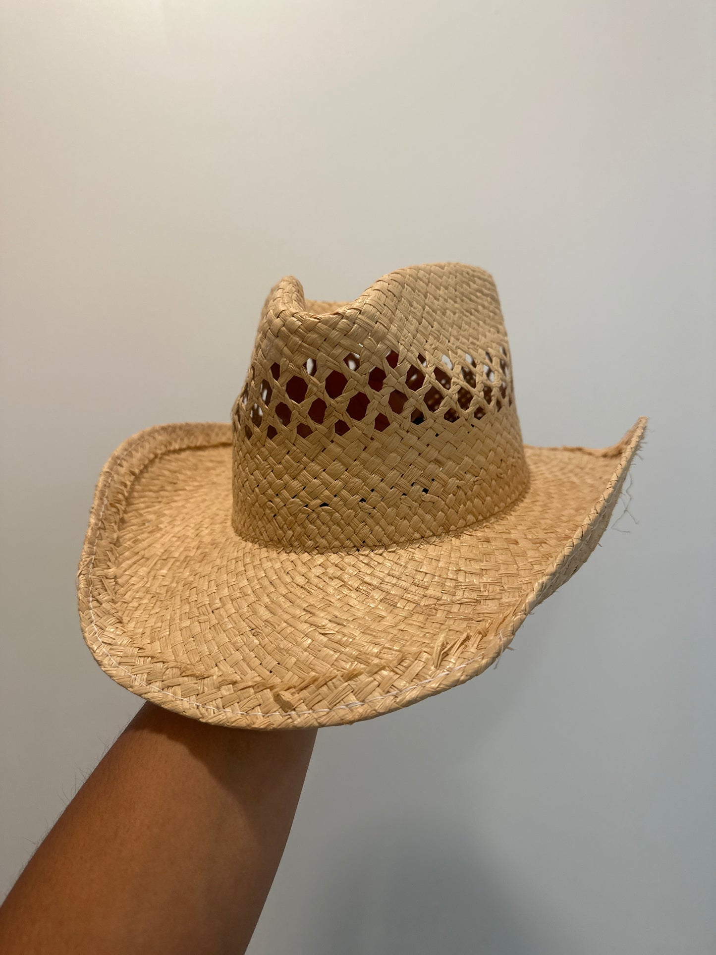 Gringo Viejo